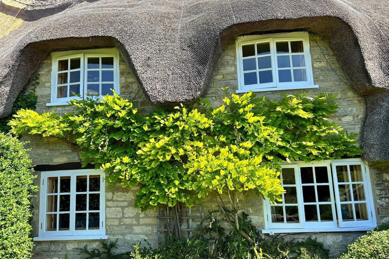 Timber casement windows repainted on a thatched stone cottage